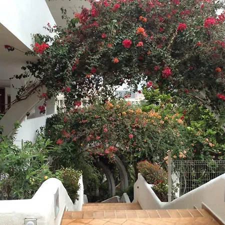 Appartamento New Beautiful Apartment!beaches Nearby!ocean View! Costa Adeje (Tenerife)