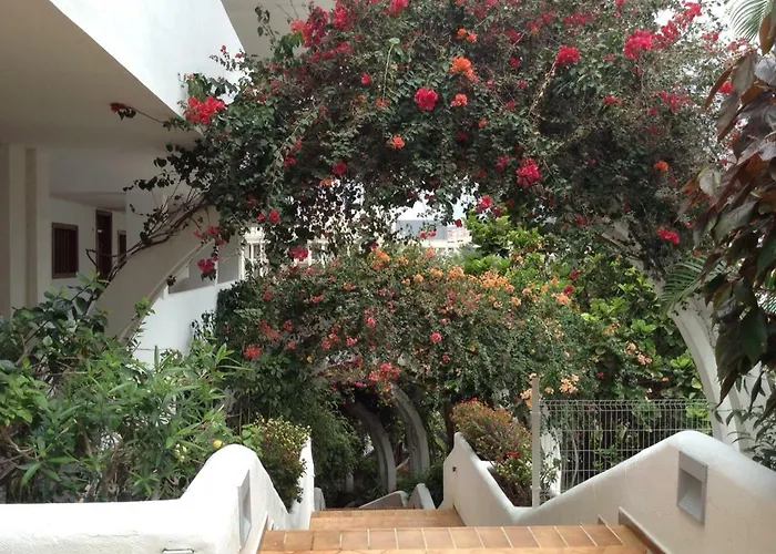 Daire New Beautiful Apartment!beaches Nearby!ocean View! Costa Adeje